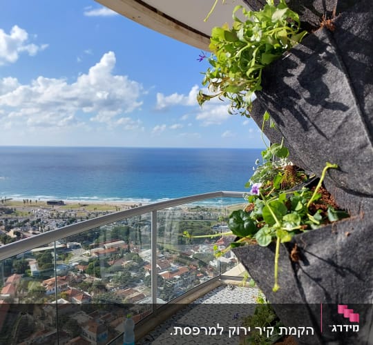 עציצים תלויים עם צמחים ירוקים במרפסת